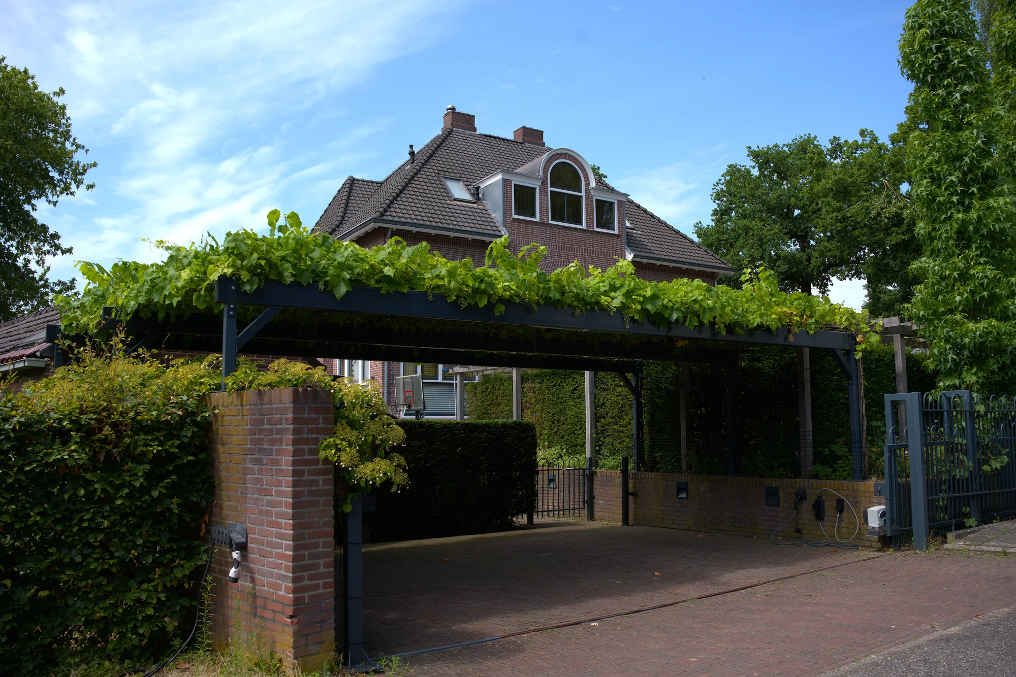 Stalen pergola met druivenbegroeiing, gemaakt door Meurs Metaaldesign