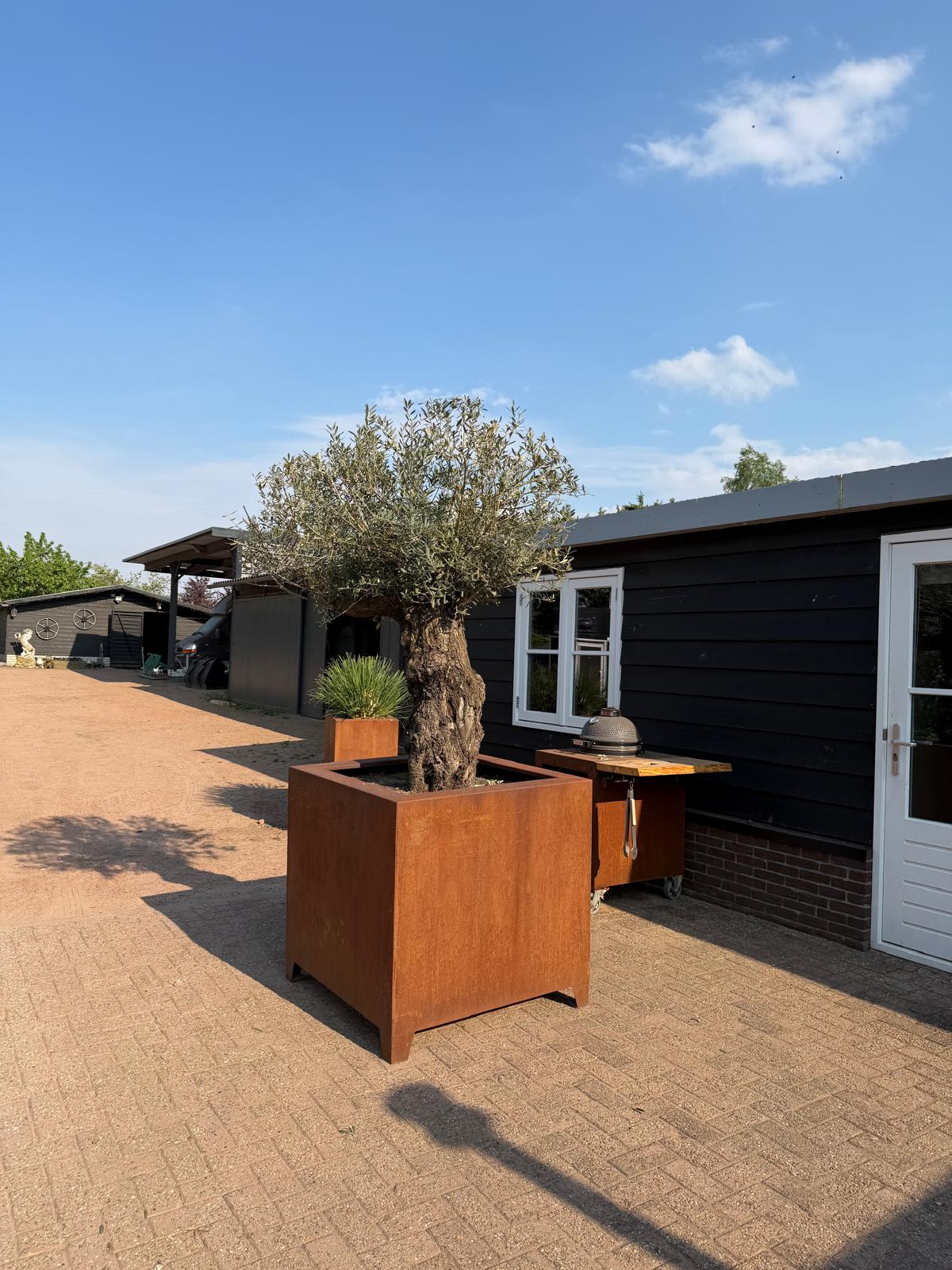 Metalen plantenbak van Meurs Metaaldesign